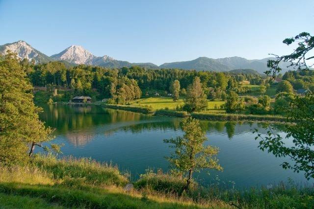 Апартаменты Haus Am Wald Фаак-ам-Зее Экстерьер фото